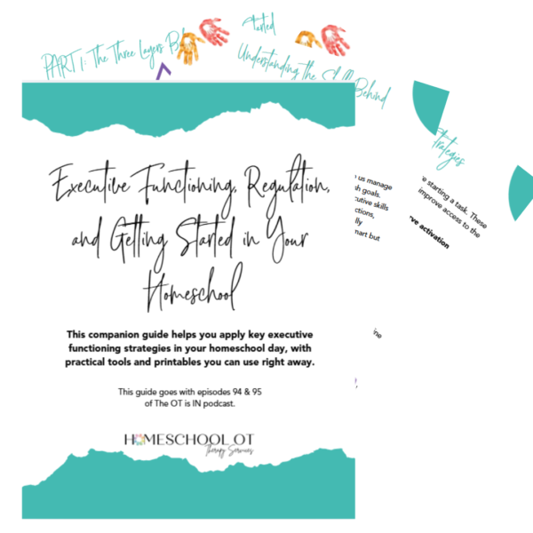 Executive Functioning, Regulation, and Getting Started in Your ...